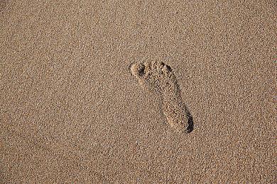 《游戏王》NS新游今日发售 游戏收录一千多种卡牌